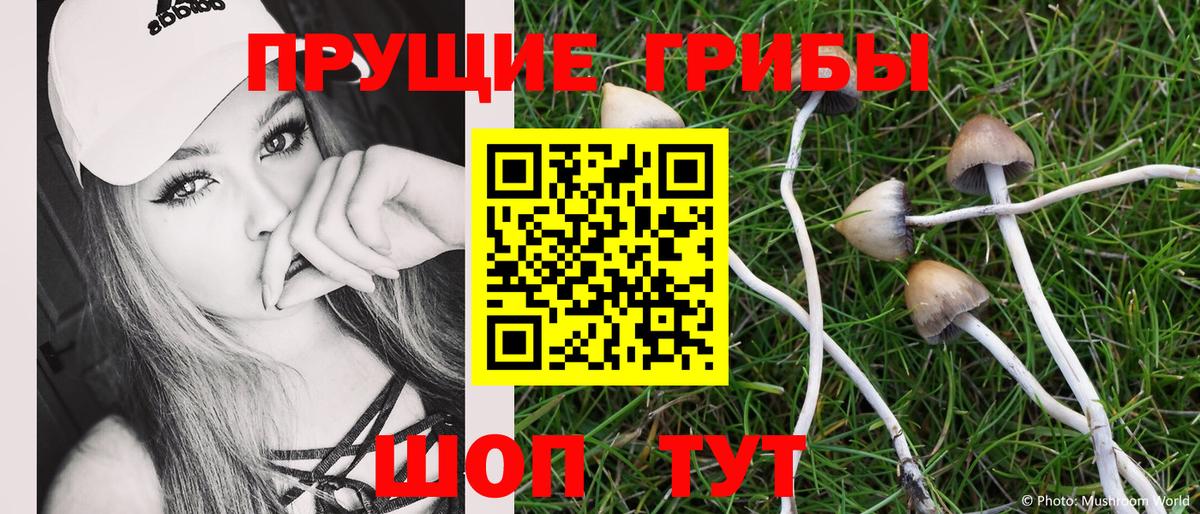 что такое   Вход с VPN  Сертолово  Псилоцибиновые грибы прущие грибы 