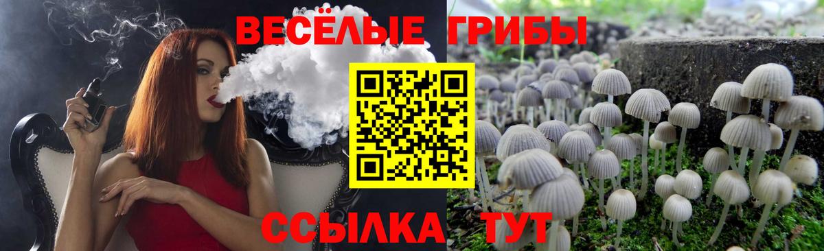 Галлюциногенные грибы прущие грибы Сертолово
